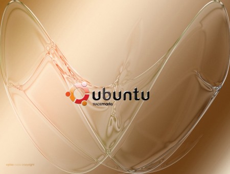 Software Platform Ubuntu