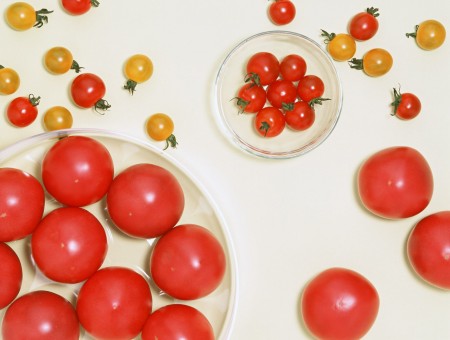 Miscellaneous Tomatoes