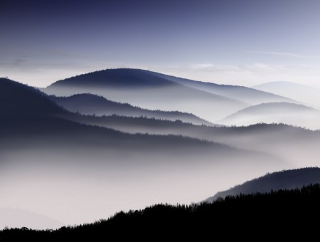Fog in the Mountains