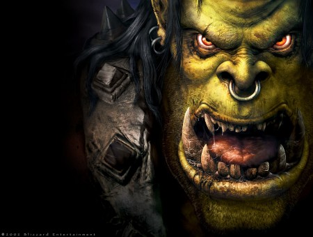 Warcraft: Ogre