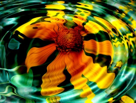 Reflection of the Flower