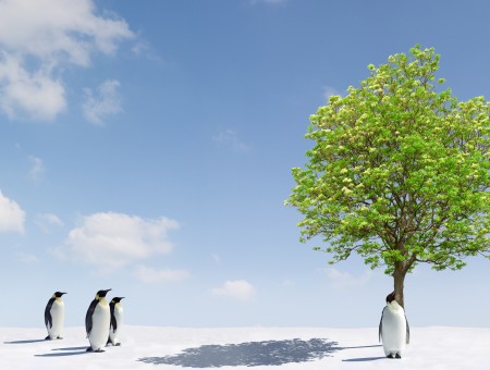 Penguins and the Tree