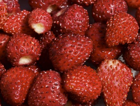 Wild Strawberries 