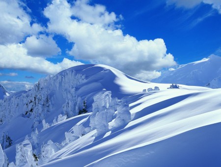 Snowy Slope in Winter