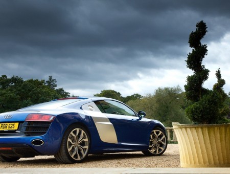 White And Blue Audi R8