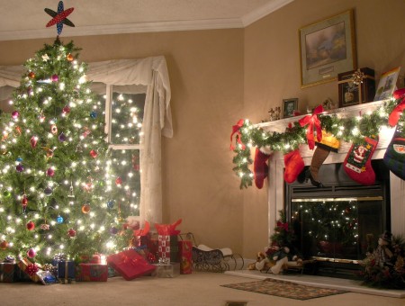 Lighted Christmas Tree