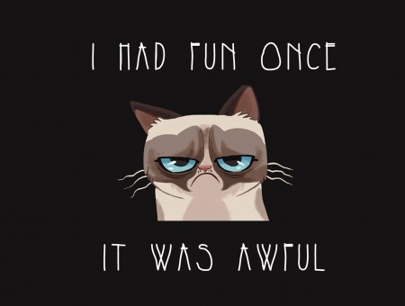 I Had Fun Once It Was Awful Grumpy Cat Meme