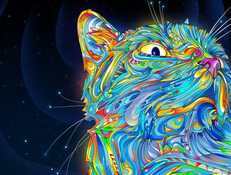 Cat Multicolored Wallpaper