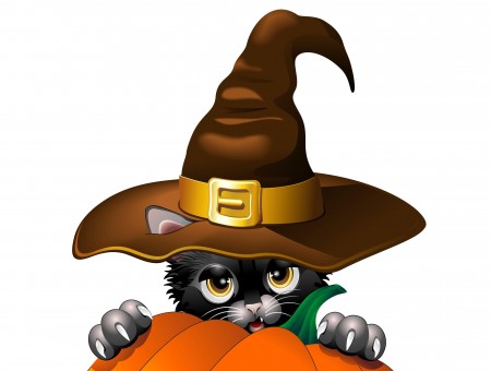 Black Cat Wearing Brown Witch Hat