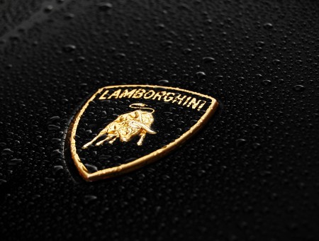 Lamborghini Emblemlamborghini Logo
