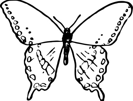 Black Outlined Butterfly Illustration