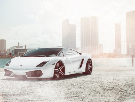 Lamborghini White Coupe