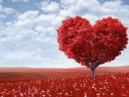 Red Heart Shaped Tree