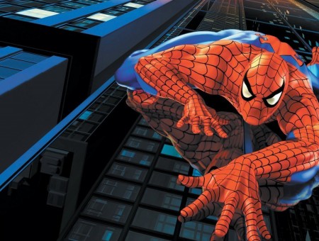Spider-man Cartoon Character