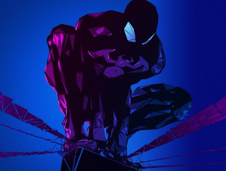 Spider-man Illustration