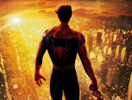 Spider Man Marvel Super Hero