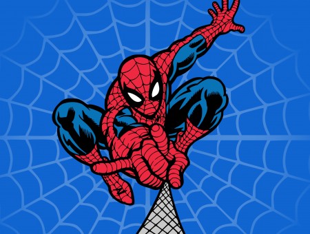 Spider Man Illustration