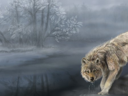 Brown Wolf Illustration
