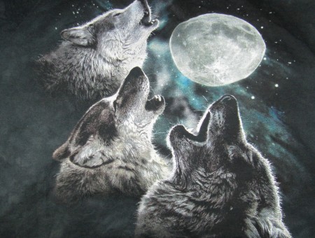 3 Wolves And Full Moon Black Textile