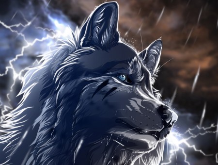 Blue And Gray Wolf Illustration