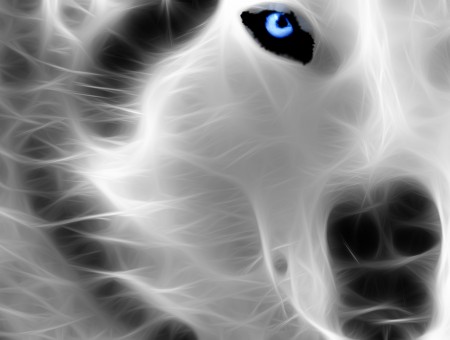 White And Black Smoke Wolf Illustration