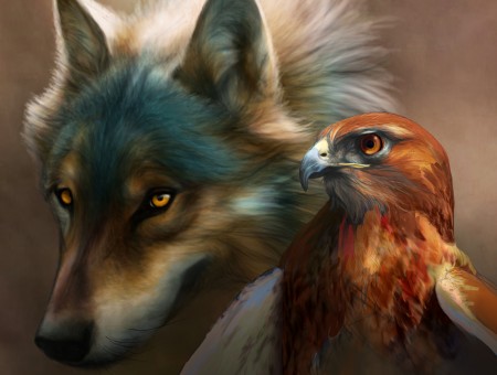 Gray Wolf Beside Bald Eagle Illustration