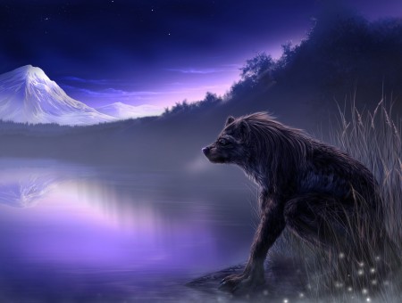 Wolf By The Lake Wallpaper