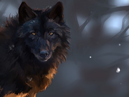 Black Wolf Illustration