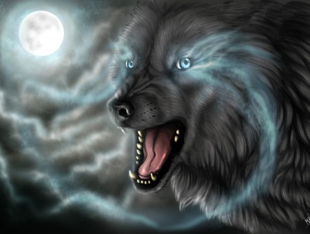 Gray Wolf Illustration