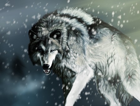 Black And White Wolf