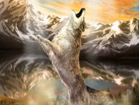 Brown And White Wolf Illustration