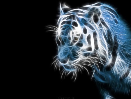 Tiger In Lights