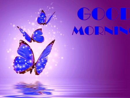 Good Morning With Blue And Black Butterflies Flying