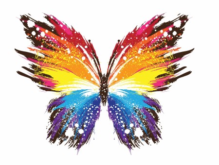 Blue Yellow Orange And Red Butterfly Air Brush Graphic Art