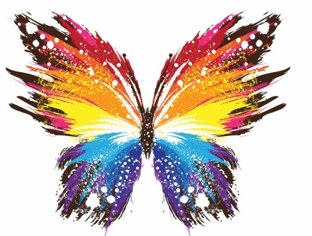 Blue Yellow Orange And Red Butterfly Air Brush Graphic Art