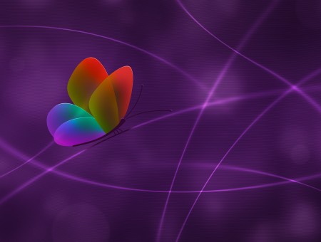 Red Orange Green Blue And Purple Butterfly Vector