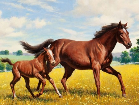 Brown Horses