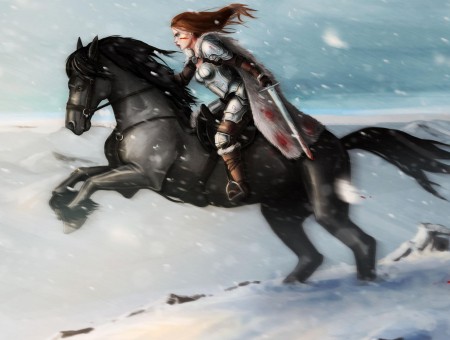 Knight Riding Black Horse Illustration