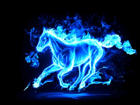 Blue Horse Illustration
