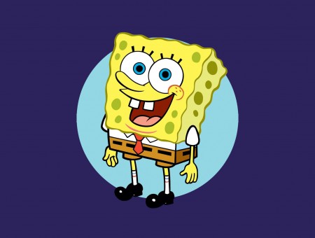 Spongebob Fictional Character