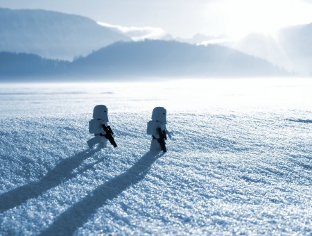 White Snow Soldiers