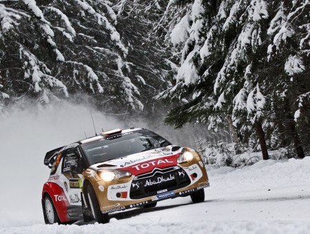 White Red And Gold Citroen Rally Car