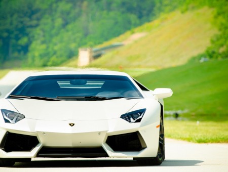 White Lamborghini Car