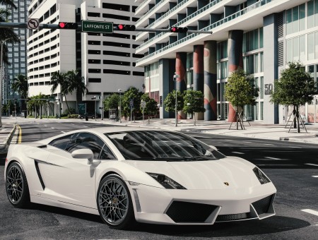 White Lamborghini Gallardo