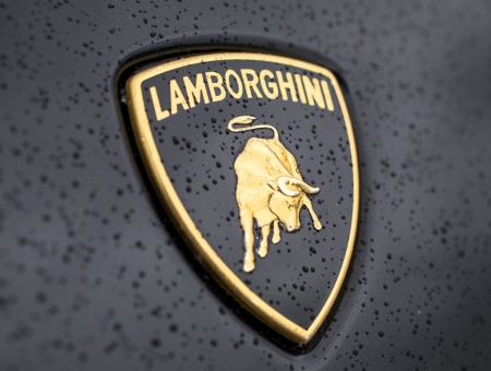 Lamborghini Emblem