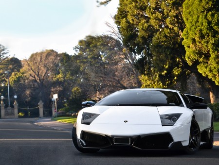 Black And White Lamborghini Murcielago