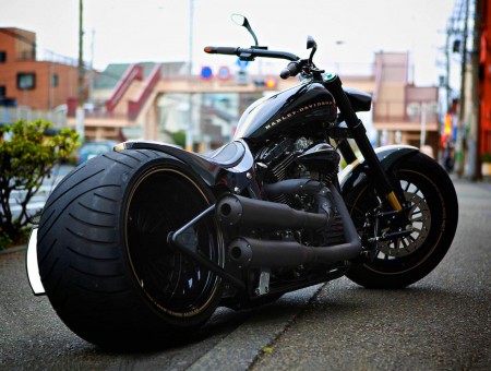 Black Harley Davidson Cruiser Motorcycle
