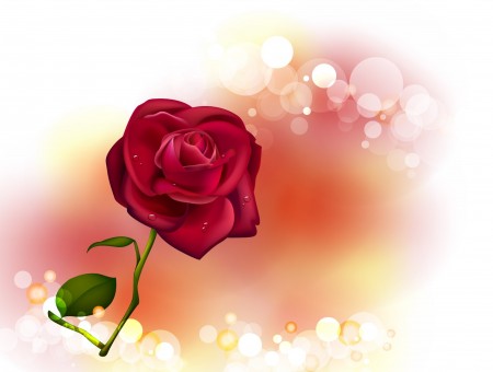 Red Rose Illustration