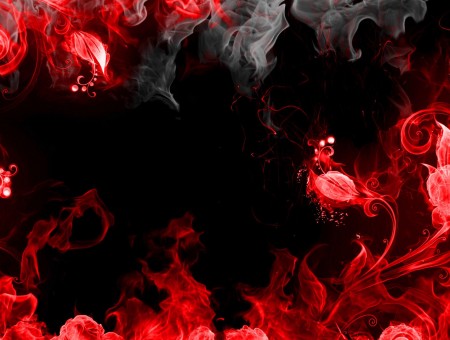 Red And White Fire Flower Graphic Art