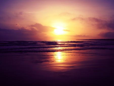 Purple Sea